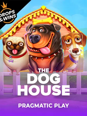 TSILI Dog House